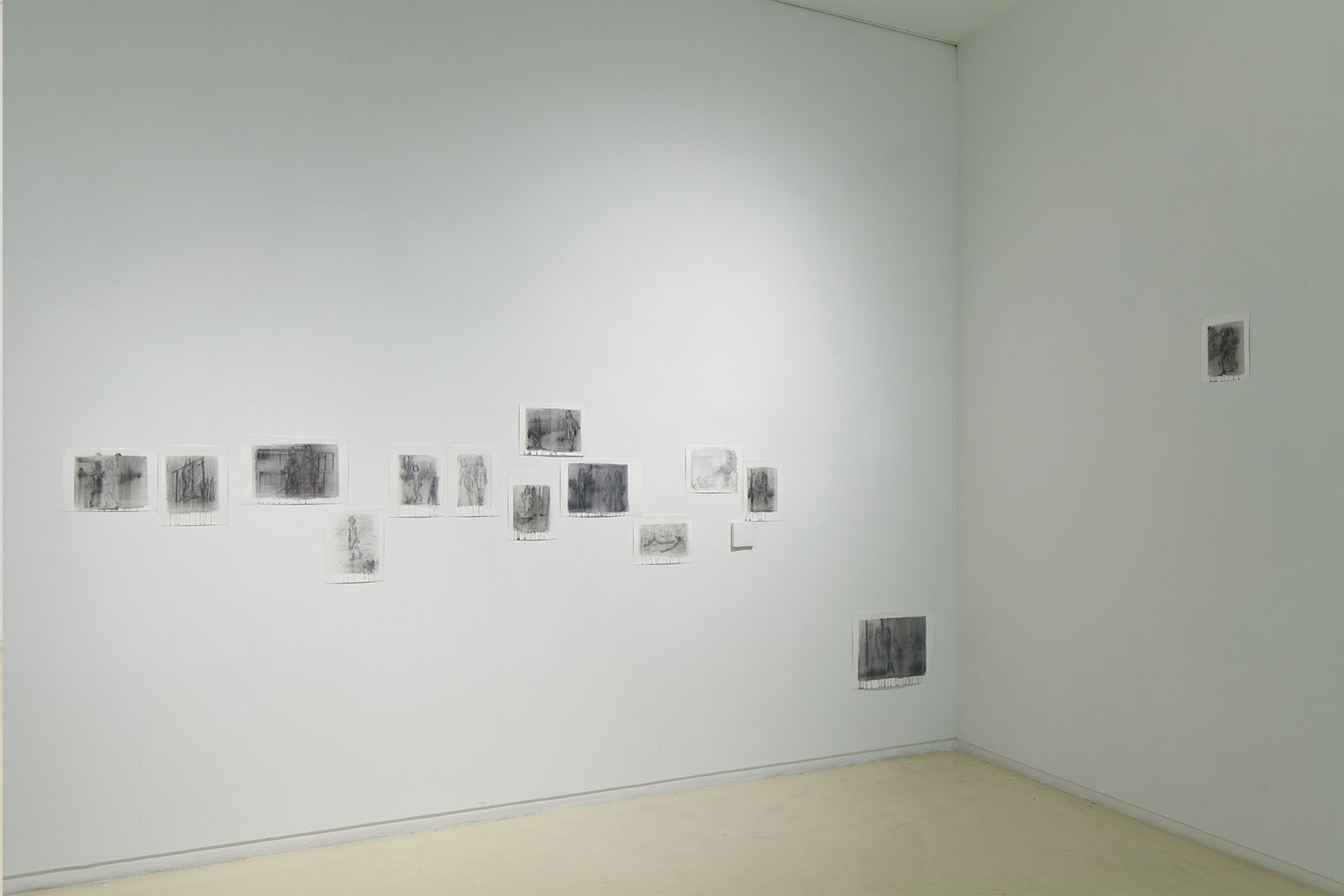 Installation view 2015